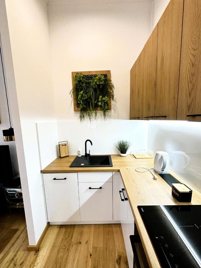 Apartamenty Dream Place Z Klimatyzacja Stary Toruń Exterior foto